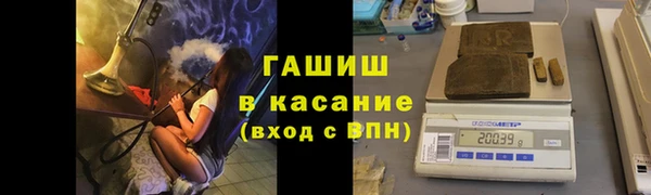 стаф Магадан