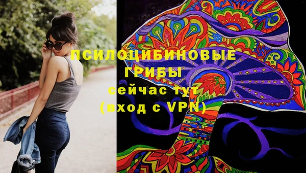 винт Майский